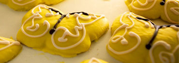 banner